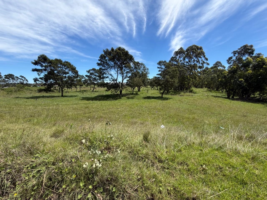 0 Bedroom Property for Sale in Butterworth Eastern Cape